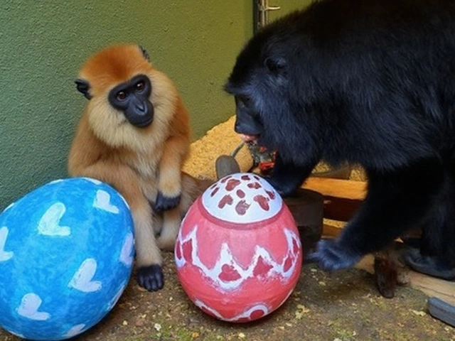 GramadoZoo celebra 15 anos no Dia do Gaúcho com churrasco para onças e educação ambiental